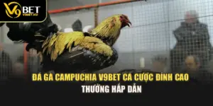 Đá Gà Campuchia V9BET – Cá Cược Đỉnh Cao, Thưởng Hấp Dẫn