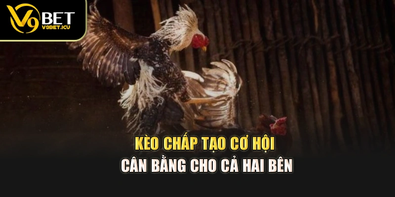 Kèo chấp tạo cơ hội cân bằng cho cả hai bên