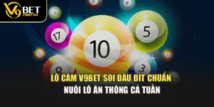 Lô Câm V9BET – Soi Đầu Đít Chuẩn, Nuôi Lô Ăn Thông Cả Tuần