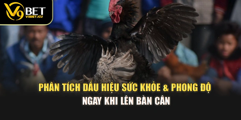 Phân tích dấu hiệu sức khỏe & phong độ ngay khi lên bàn cân